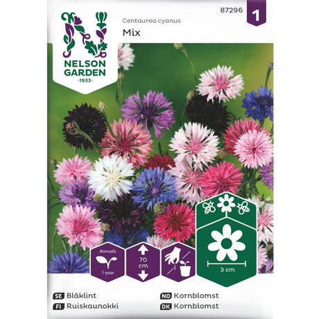 Høy kornblomst i blandede farger i blomsterbed