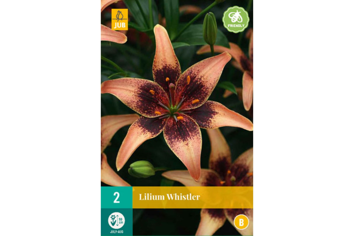 Lilje ‘Whistler’ | 2 blomsterløk