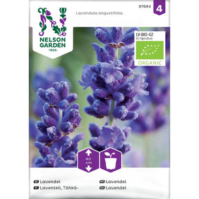 Økologisk lavendel med fiolette blomsteraks