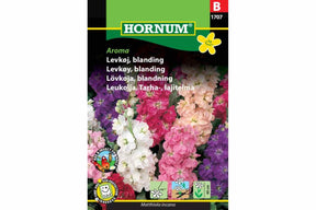 Levkøyfrø i blanding pakket for dyrking av duftende blomster
