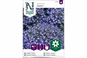 Frø av hengelobelia med klare blå blomster til ampler