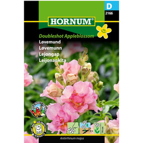 Løvemunn ‘DoubleShot Appleblossom’ med fylte rosa blomster