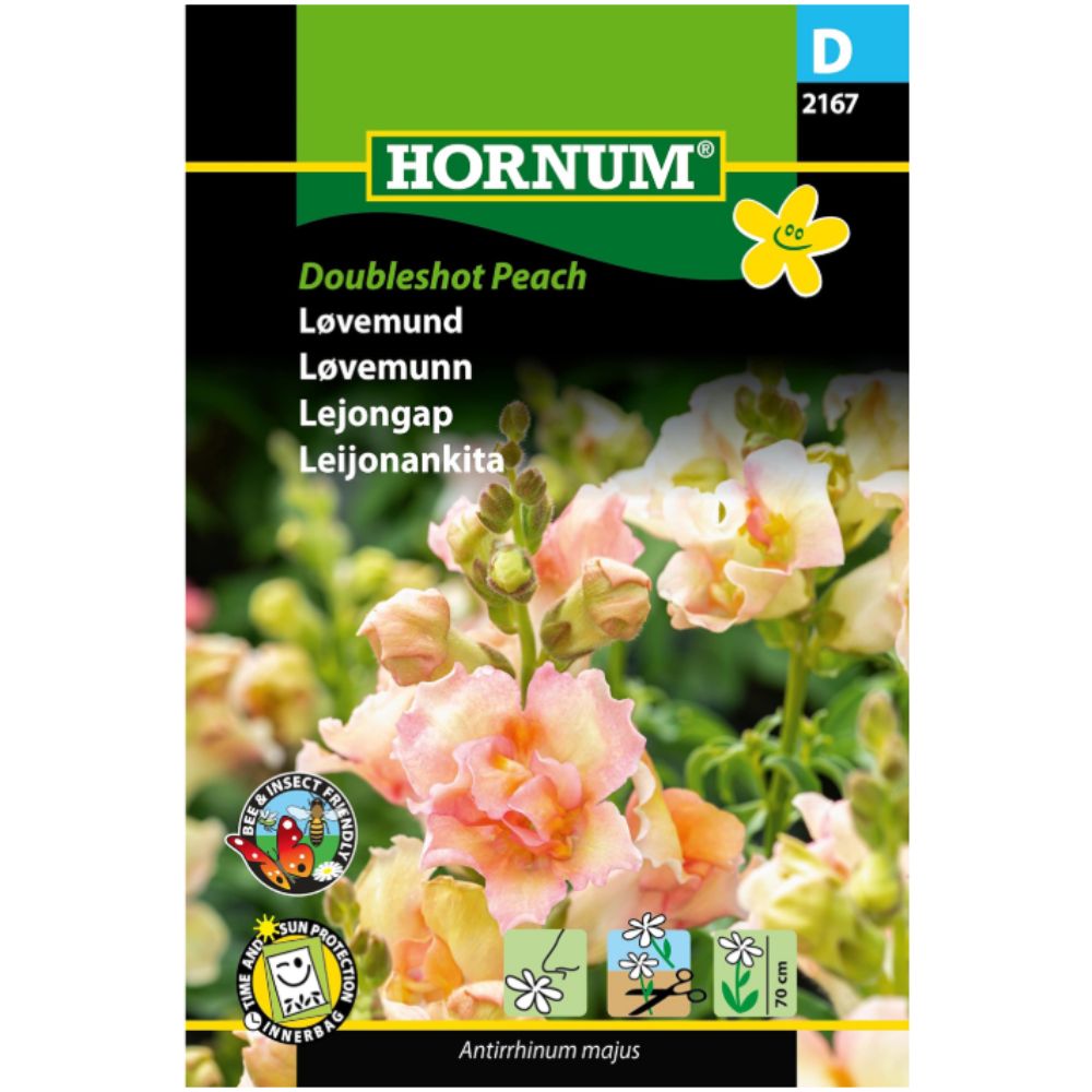 Løvemunn ‘DoubleShot Peach’ med fylte ferskenfargede blomster
