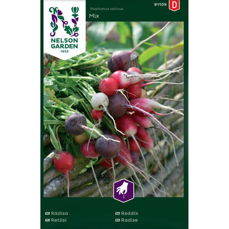 Fargerike reddiker fra Månedsreddik Mix høstet i kjøkkenhagen.