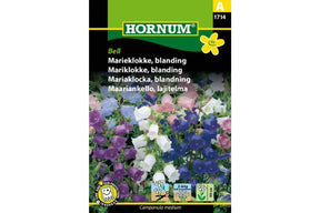 Toårig plante med små, klokkeformede blomster i blandede farger.