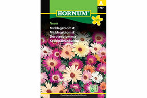 Lav, fargerik ettårig blomst med rikelig blomstring.