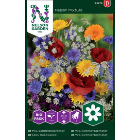 Mix Sommerblomster med fargerike blomster