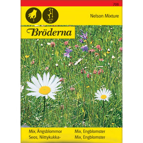 Fargerik blomstereng med blandede engblomster i full blomst