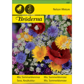 Fargerik blanding av sommerblomster i blomsterbed