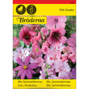 Rosa sommerblomster i blomsterbed med ulike rosatoner