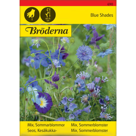 Blå sommerblomster i blomsterbed med ulike nyanser av blått