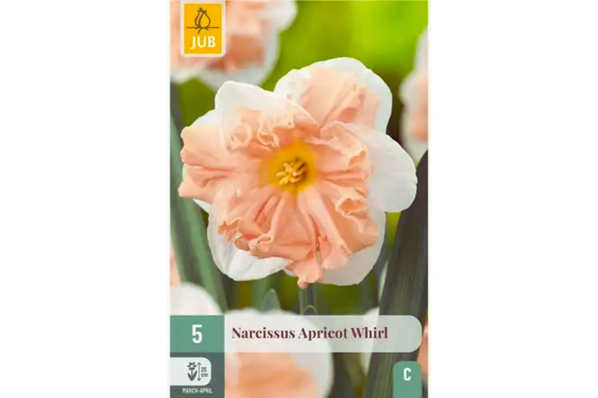 Narsisser ‘Apricot Whirl’ – Elegante påskeliljer med aprikosfarget trompet (5 blomsterløk)