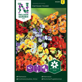 Nemesia Carnival mixed i flere farger i blomsterbed
