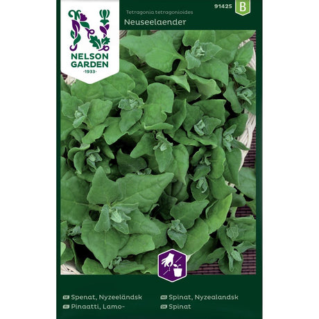 Nyzealandsk spinat Neuseelaender i bed