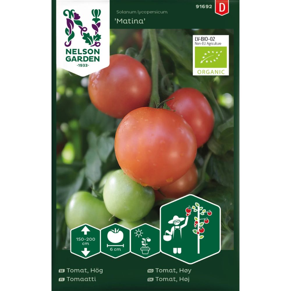 Modne ‘Matina’-tomater klare til høsting i kjøkkenhagen.