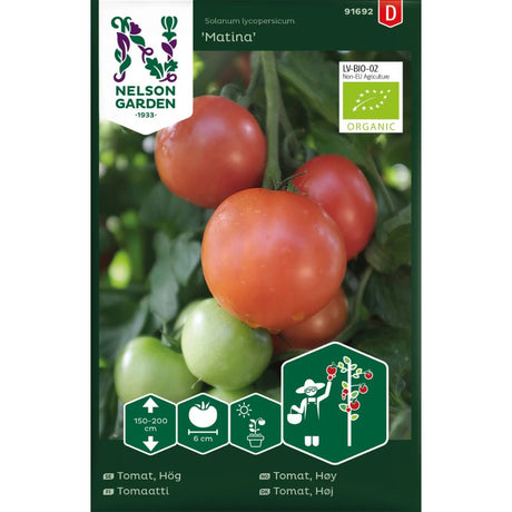 Modne ‘Matina’-tomater klare til høsting i kjøkkenhagen.