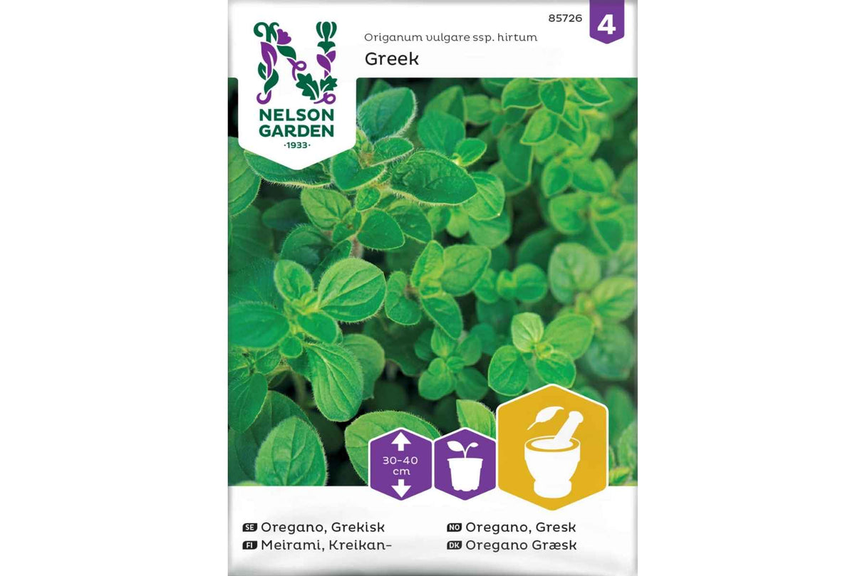 Oregano, Gresk (Origanum Hirtum)