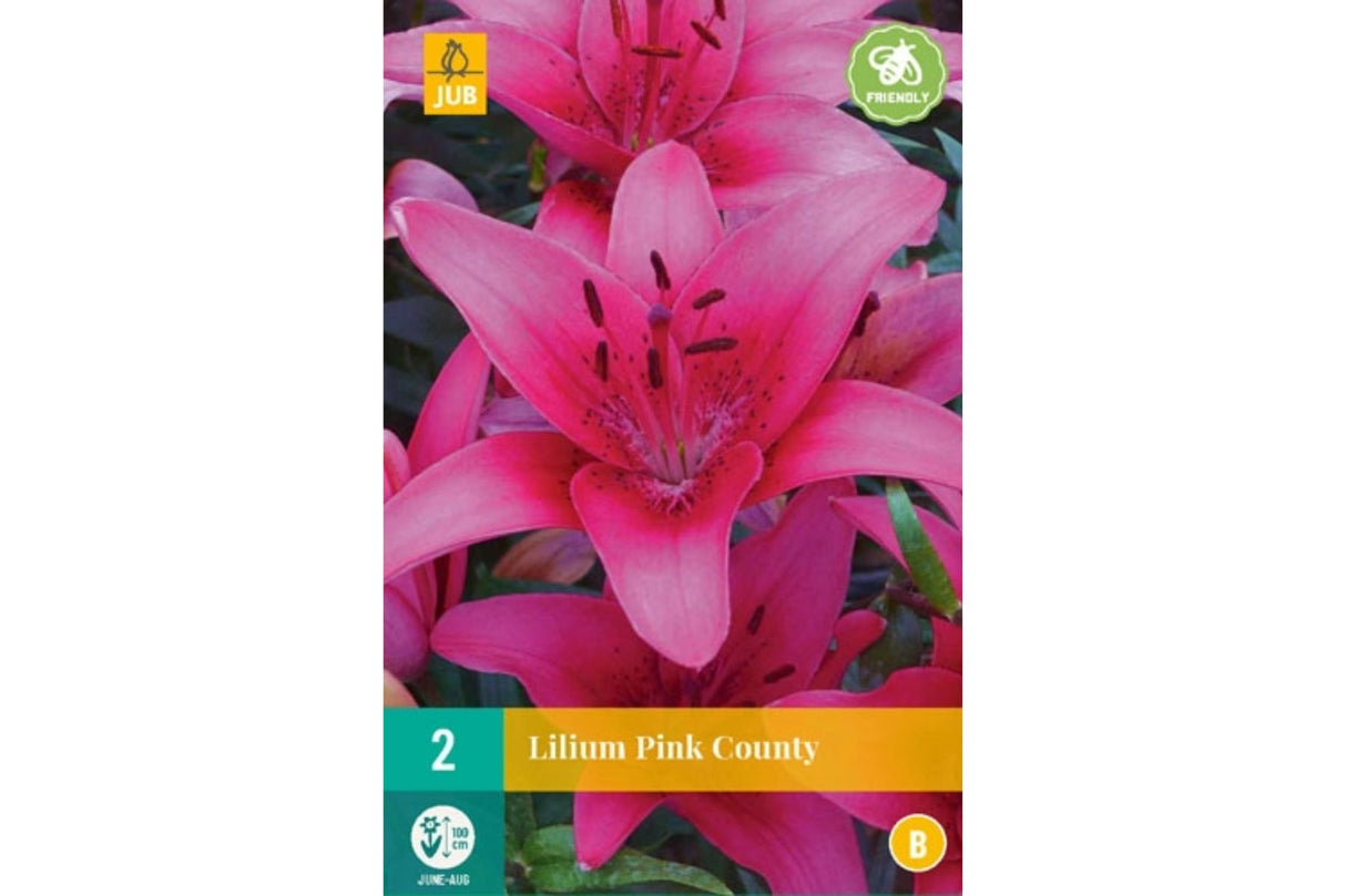 Lilje ‘Pink County’ | 2 blomsterløk