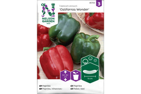 Grønn paprika ‘California Wonder’ med modne, saftige frukter.