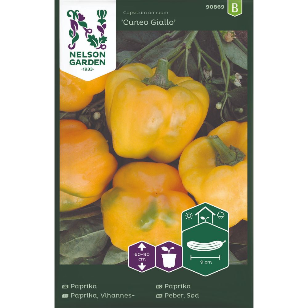 Paprika ‘Cuneo Giallo’ – gul, mild og saftig sort til drivhus og kjøkkenhage