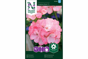 Pelargonium Inspire Pink F1 med rosa blomster i potte.