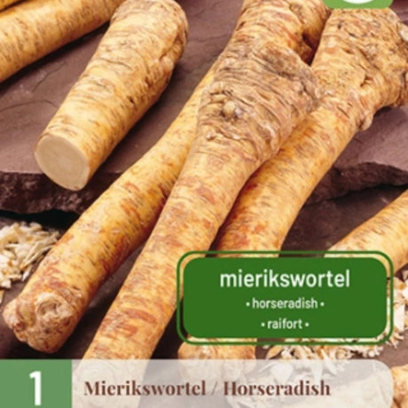 Barrotsplante av pepperrot klar til planting i hagen.