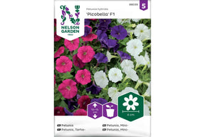 Milliflora-petunia med mange små blomster i tett vekst
