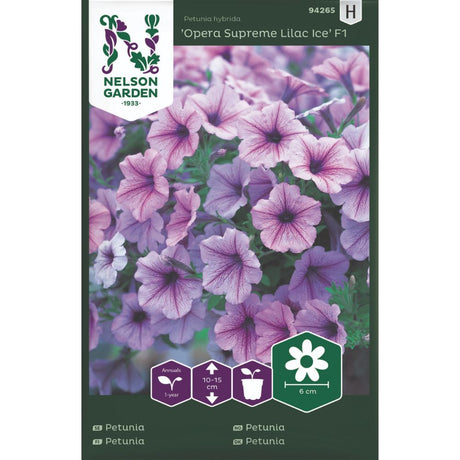 Nærbilde av sølvlilla petunia med mørkelilla årer.