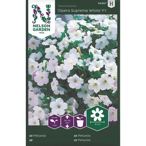 Hengende petunia med hvite blomster i ampel