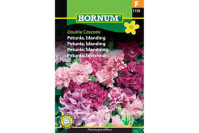 Fylt petunia med store, tettlagte kronblader i rikelig blomstring