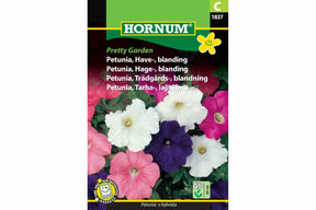 Fargerike petunia som blomstrer rikt i krukker og ampler
