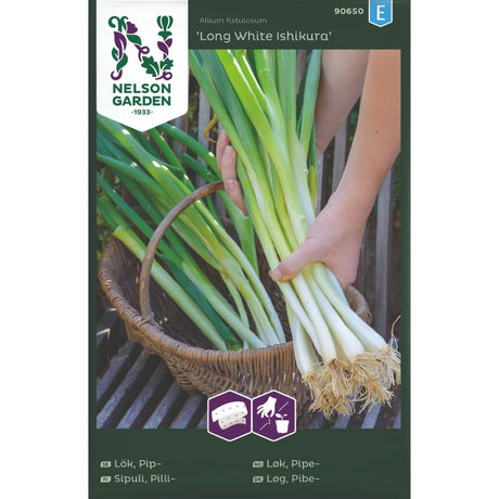 Høstet pipeløk ‘Long White Ishikura’ klar til bruk i salat.