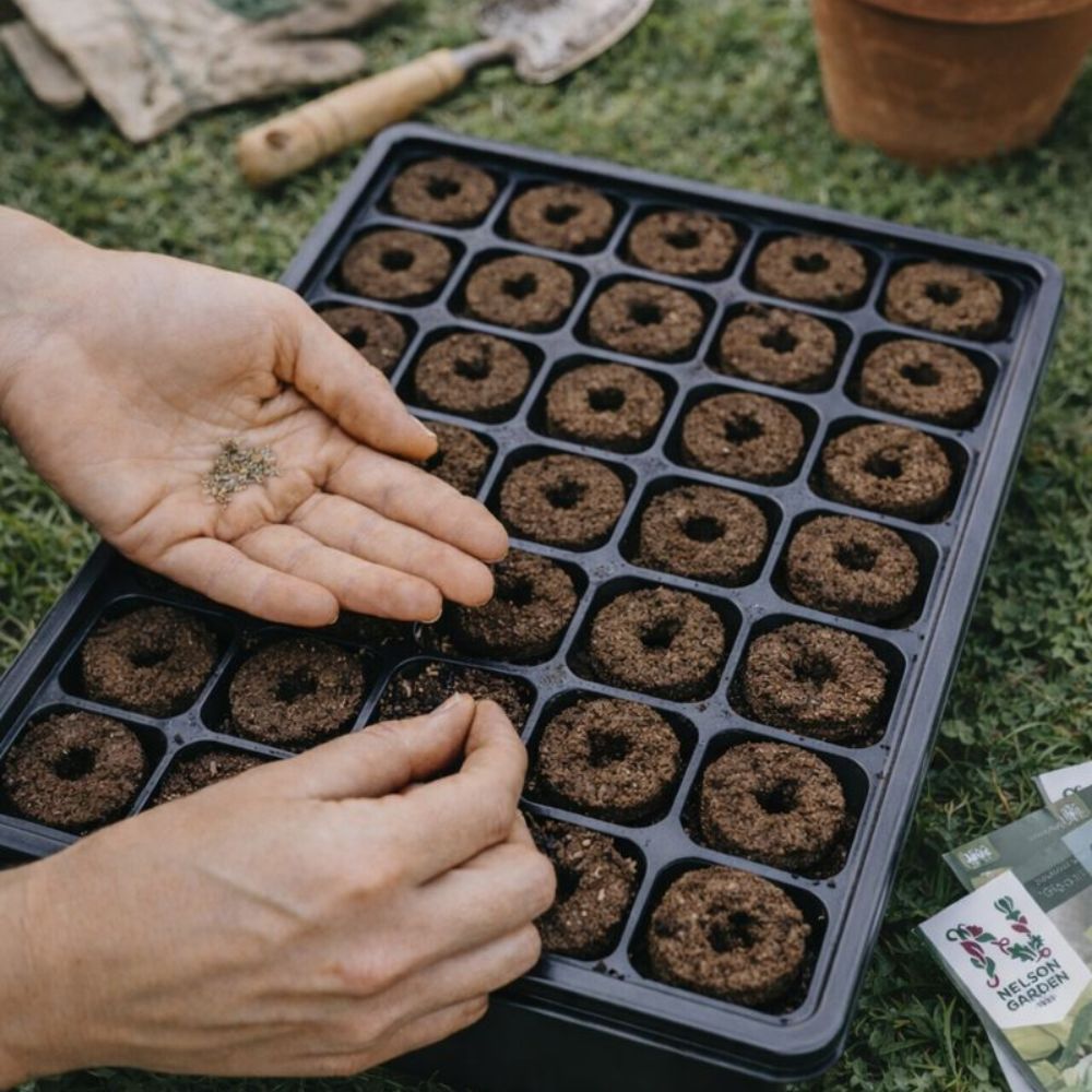 Planteplugg i kokosfiber og torv klar til såing