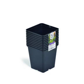 Firkantet sort plastpotte 11x11 cm til forkultivering