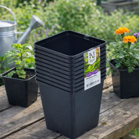 Plastpotter i minidrivhus for forkultivering av planter