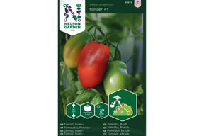Avlange San Marzano-tomater med fast fruktkjøtt og god holdbarhet