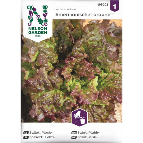 Nærbilde av rødkantet plukksalat klar til høsting