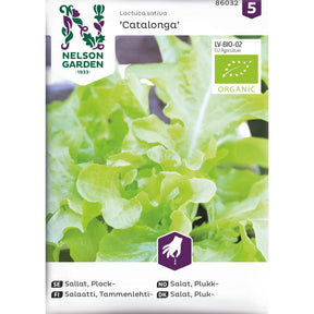 Økologisk plukksalat ‘Catalonga’ med smale blader