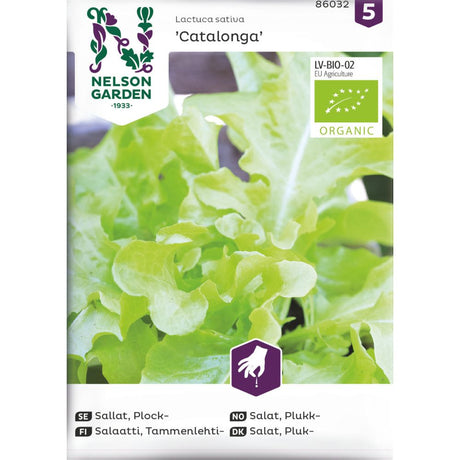 Økologisk plukksalat ‘Catalonga’ med smale blader