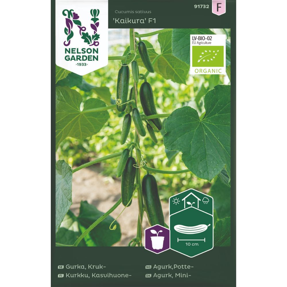 Miniagurk Kaikura F1 frø