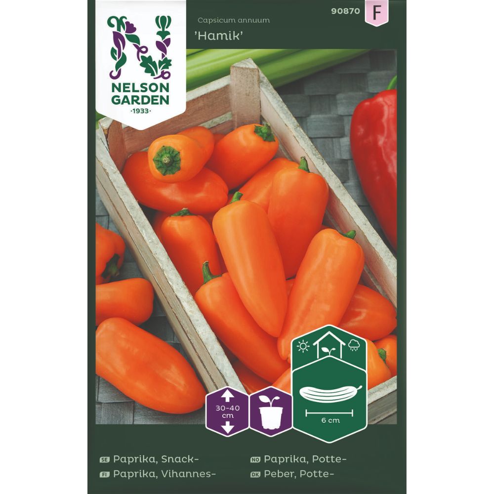 Pottepaprika Hamik med oransje frukter