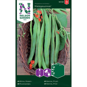 Prydbønne Preisgewinner med røde blomster som klatrer på espaljé i hage