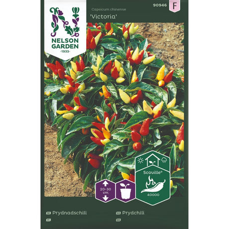 Prydchili Victoria med fargeskiftende frukter