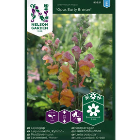 Prydløvemunn Opus Early Bronze med oransje blomster i blomsterbed