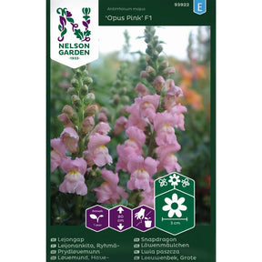 Prydløvemunn Opus Pink med rosa blomster i blomsterbed