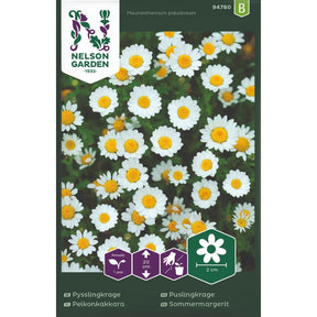 Puslingkrage med små hvite blomster og lysegrønt bladverk