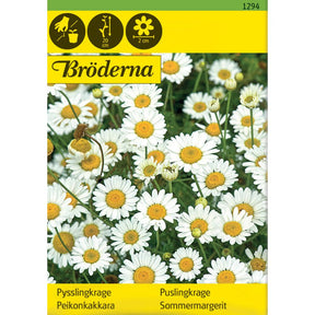 Puslingkrage med små hvite blomster i blomsterbed