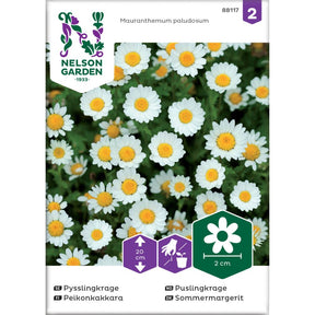 Puslingkrage plantet i potte med lysegrønt bladverk og små blomster