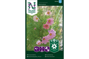 Pyntekorg med aprikosfargede blomster og lett, luftig vekst