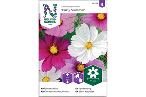 Pyntekorg med tidlige blomster og lett, luftig vekst